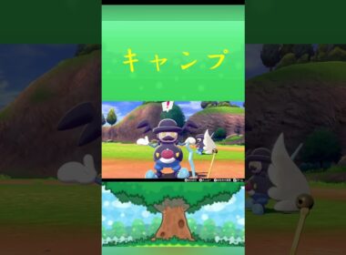 ポケモン バリコオル キャンプ ポケリフレ ポケパルレ #ポケモン #Pokemon  #nintendoswitch  #ポケモンsv  #ふれあい #キャンプ  #ピクニック #ポケモン剣盾