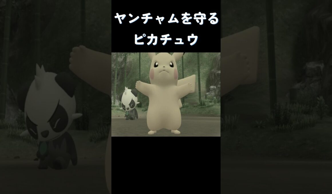ヤンチャムを守るピカチュウレジェンド場面 #ポケモン