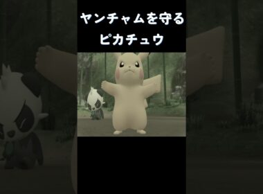 ヤンチャムを守るピカチュウレジェンド場面 #ポケモン