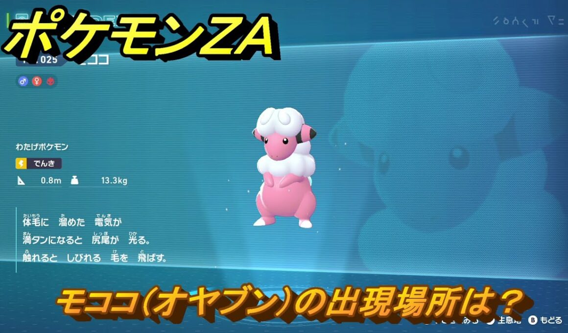 ポケモンＺＡ　モココ（オヤブン）の出現場所は？図鑑０２５　＃６０５　【Pokémon LEGENDS Z-A】