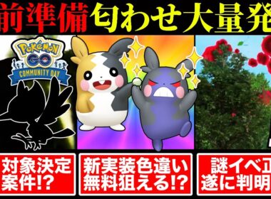 【超速報】匂わせ大量続々┃不具合サイレント修正┃モルペコ色違い実装確定┃専用ワザ活躍予想【ポケモンGO】【GOバトルリーグ】【スーパーリーグ】