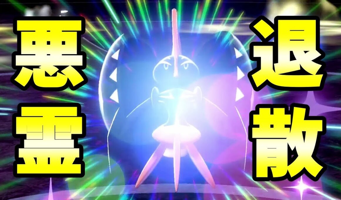 正義のカプ・コケコで悪退治【ポケモン剣盾】