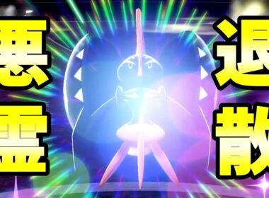 正義のカプ・コケコで悪退治【ポケモン剣盾】