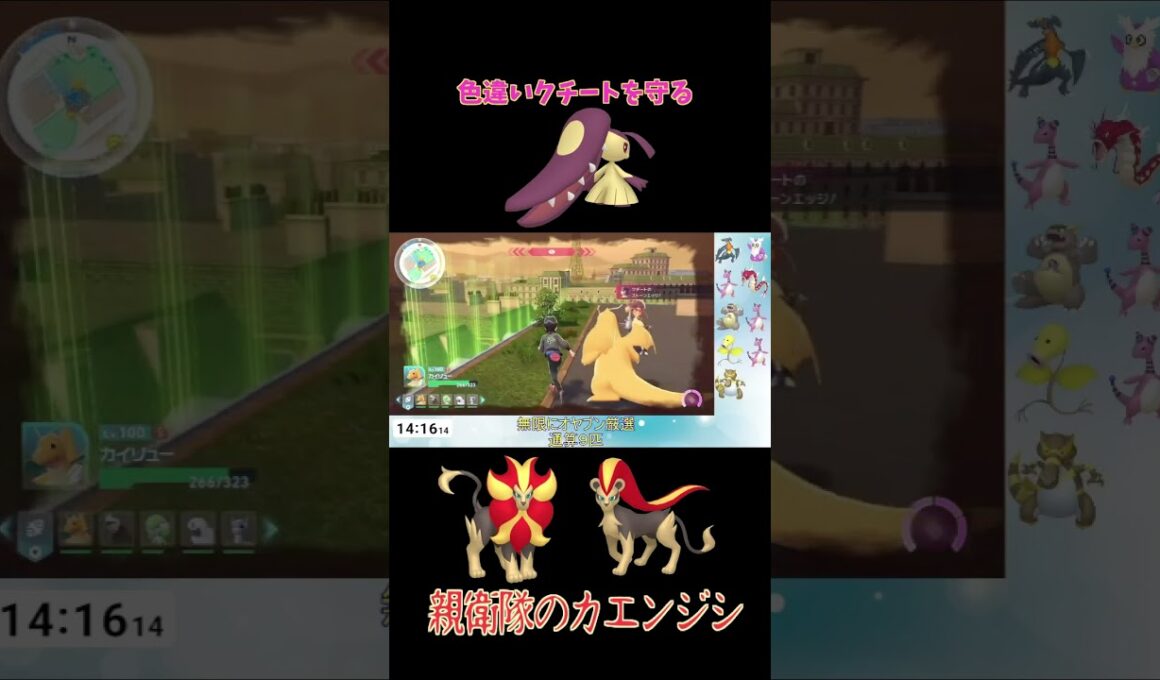 オヤブンクチートを守れ！ #shorts #pokemon #色違い