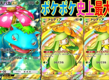 ポケポケ史上最大HPのジャイアントフシギバナがやばすぎる