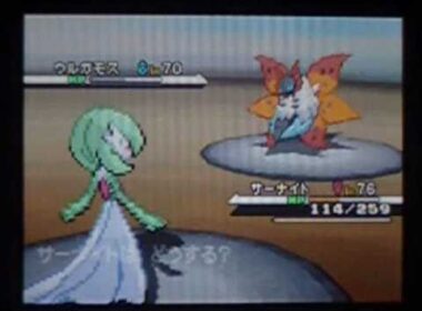 ポケットモンスターブラックホワイト ウルガモス Pokemon Black White Volcarona