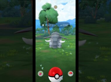 野生のドンファンGETの瞬間!!! #pokemon #pokemongo #ポケモン #ポケモンgo #shorts