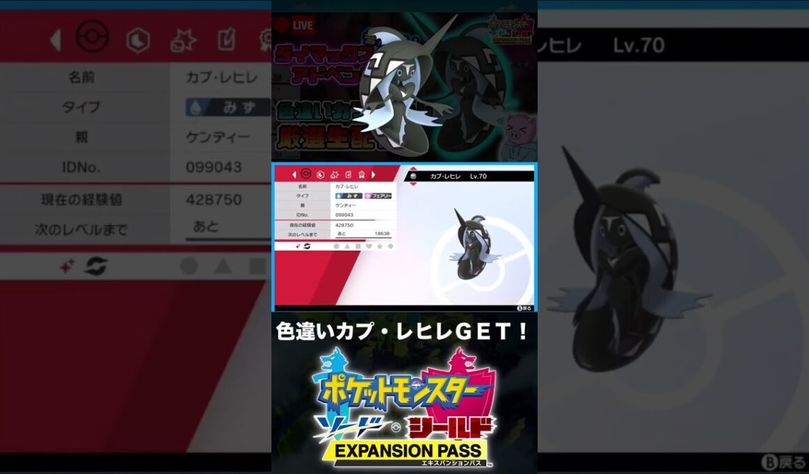 色違いカプ・レヒレと邂逅した男【ポケモン剣盾】