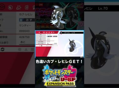 色違いカプ・レヒレと邂逅した男【ポケモン剣盾】