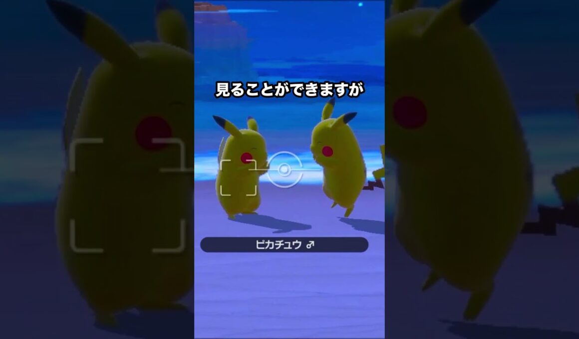 ピカチュウのカップル #ポケモンスナップ #ポケモン