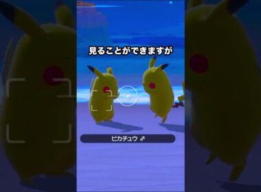 ピカチュウのカップル #ポケモンスナップ #ポケモン