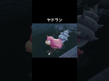 ヤドンたちの水場の移動方法【ポケモンZA】