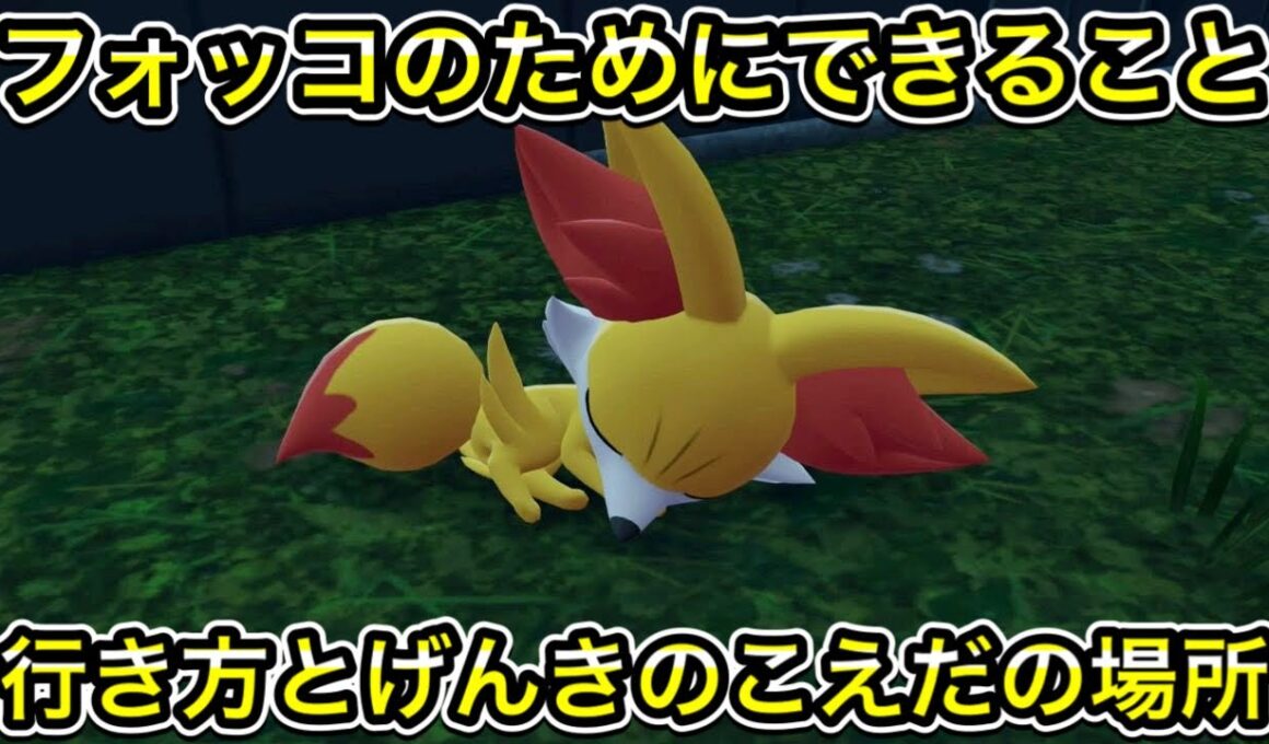 フォッコのためにできることの行き方！げんきのこえだの場所も教えます！