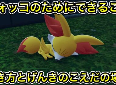 フォッコのためにできることの行き方！げんきのこえだの場所も教えます！