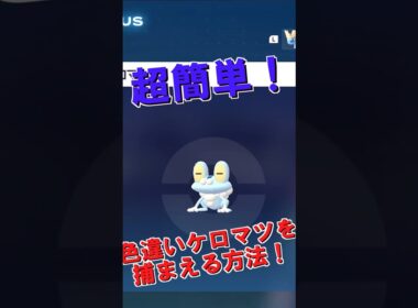 【ポケモンZA】「超簡単！色違いケロマツの捕まえ方！」⚠一応できますがオススメしません【ゆっくり実況】#ポケモン  #ケロマツ #ポケモンza #色違い