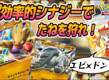 【ポケポケ｜デッキ紹介】超効率的シナジーでたねを狩れ！エビワラー×ドンファン feat. ハルカ（Pokémon TCG Pocket）
