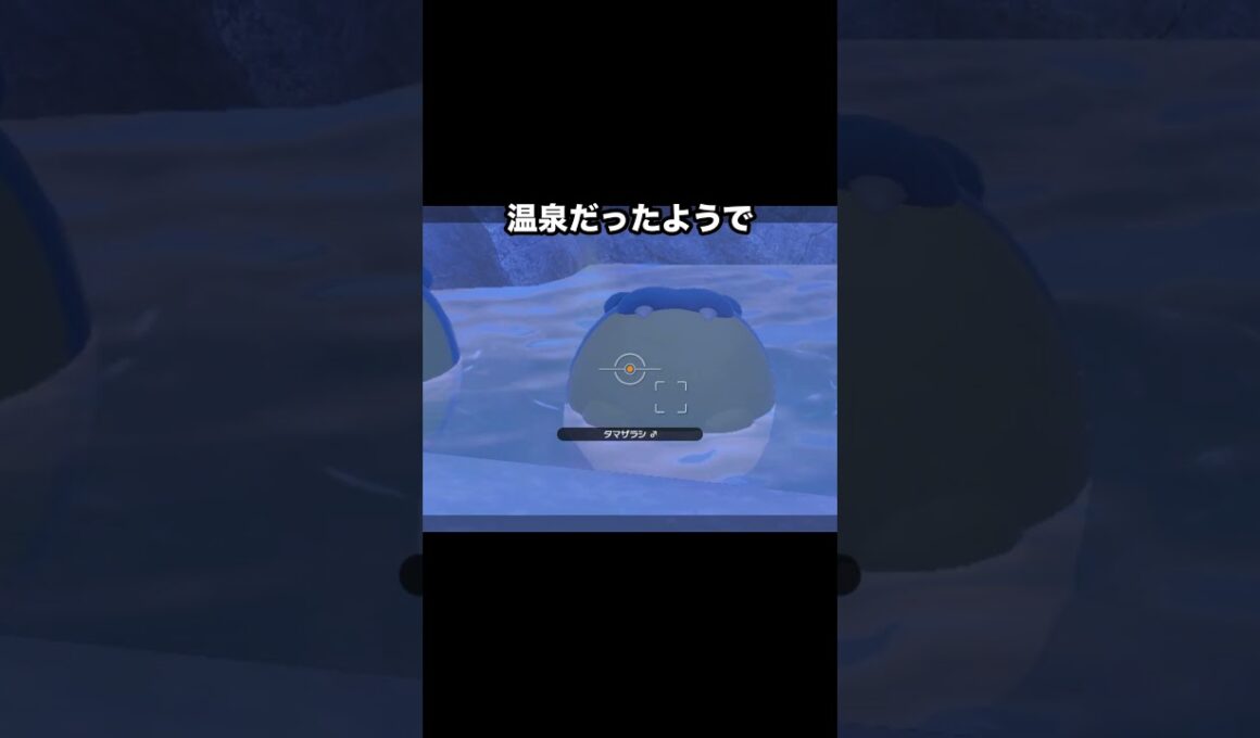 【激カワ】温泉でくつろぐポッチャマとタマザラシ #ポケモン #newポケモンスナップ