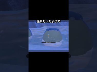 【激カワ】温泉でくつろぐポッチャマとタマザラシ #ポケモン #newポケモンスナップ