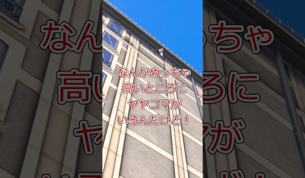 ヤヤコマの空を飛ぶ #ポケモンレジェンズza #pokemon #shorts #ゆっくり実況