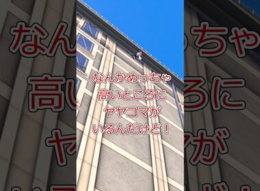 ヤヤコマの空を飛ぶ #ポケモンレジェンズza #pokemon #shorts #ゆっくり実況