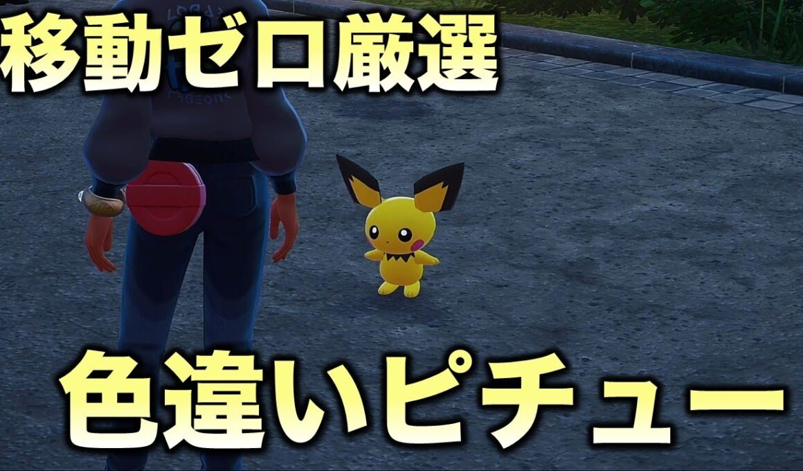 【レア色違い!!】ピチュー編!!【ポケモンZA】