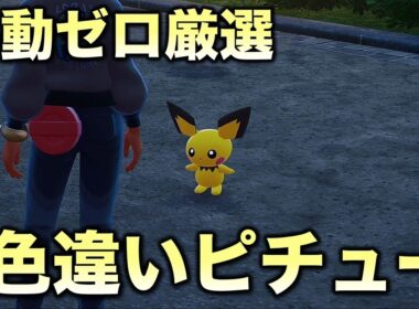 【レア色違い!!】ピチュー編!!【ポケモンZA】