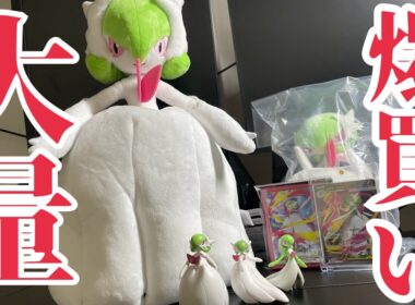 【告知あり】Z-A発売前にメガサーナイトグッズを爆買い⁉