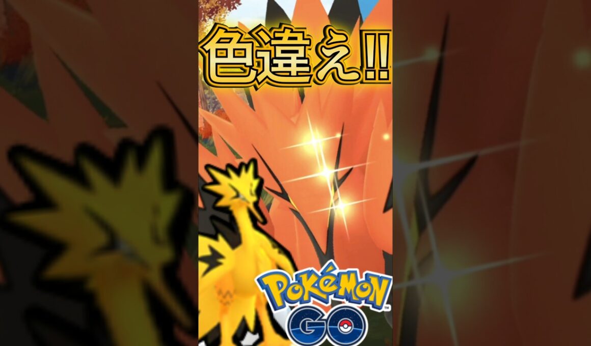 ガラルサンダー チャレンジ!!【ポケモンGO】【PokemonGO】