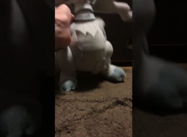 【ポケモン】レシラムの鳴き声を犬の遠吠えのように馬鹿にする小鼠【小鼠シリーズ】