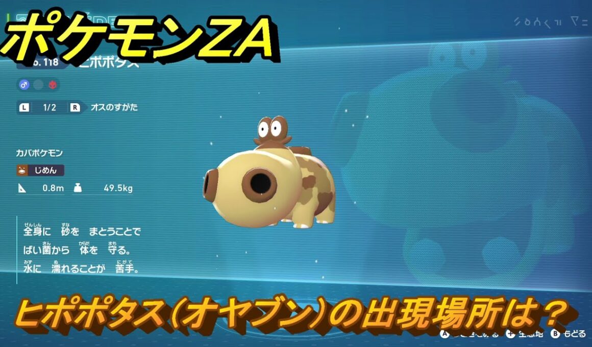 ポケモンＺＡ　ヒポポタス（オヤブン）の出現場所は？図鑑１１８　＃６０８　【Pokémon LEGENDS Z-A】