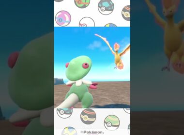 【ポケモンSV】ファイヤー捕まえる！