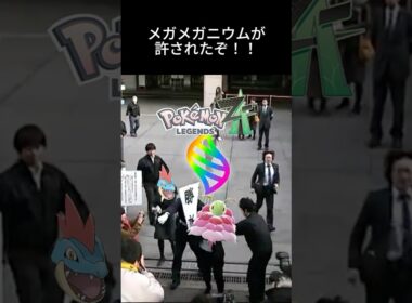 ついにZAでメガニウムがメガシンカするぞ！！ #ポケモン #メガシンカ #メガメガニウム #za