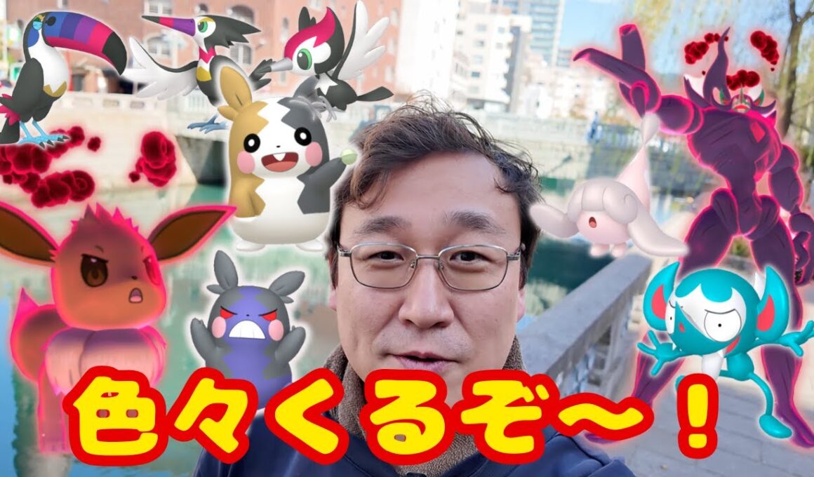 色々くるぞ！色違いモルペコ・11月コミュディ・DMAXイーブイなどなど盛り沢山！明日開幕のGOワイルドエリア前日確認も！見てね！【ポケモンGO】