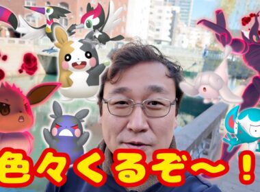 色々くるぞ！色違いモルペコ・11月コミュディ・DMAXイーブイなどなど盛り沢山！明日開幕のGOワイルドエリア前日確認も！見てね！【ポケモンGO】