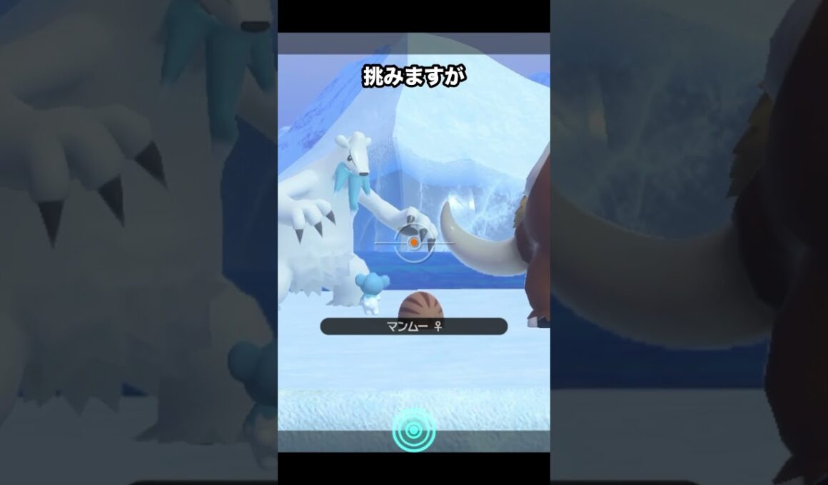 【親子共演！】マンムー親子とツンベアー親子 #newポケモンスナップ #ポケモン