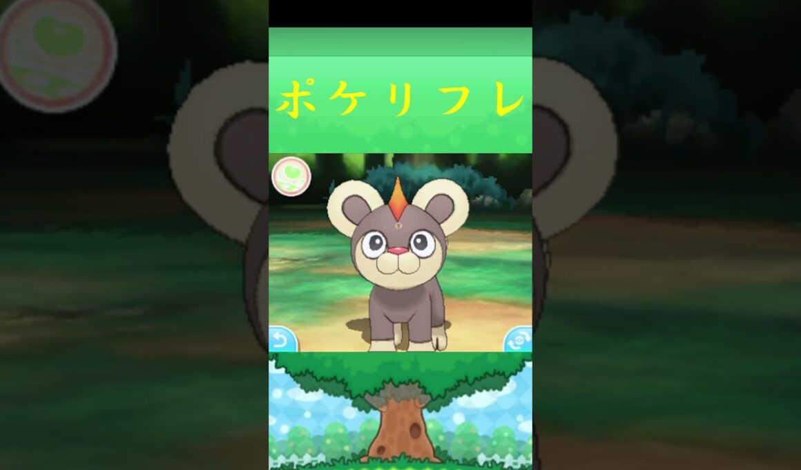シシコ*ポケモン ポケリフレ ポケパルレ #ポケモン #Pokemon  #3DS #nintendoswitch #ポケモンsv #ポケモン #キャンプ #サンドイッチ #ピクニック