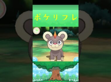 シシコ*ポケモン ポケリフレ ポケパルレ #ポケモン #Pokemon  #3DS #nintendoswitch #ポケモンsv #ポケモン #キャンプ #サンドイッチ #ピクニック