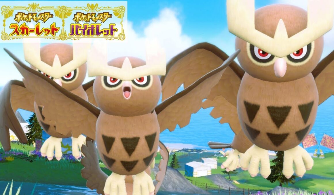 ヨルノズク６匹に囲まれて癒されピクニック【ポケモンSV】