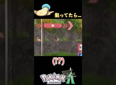 【ポケモンZA】棚から色違い親分ヤドラン