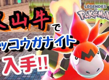 捕まえたてのバクーダでもゲッコウガナイト取れます【ポケモンZA】