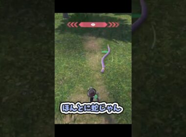 【ポケモンZA】アーボの動きがリアル蛇 #ゲーム実況 #ポケモン