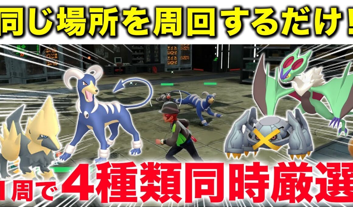 【色違い厳選】周回ルートに人気ポケモンしかいない神のような厳選場所を紹介します！【ポケモンZA】 #ライボルト #ヘルガー #メタグロス #オンバーン