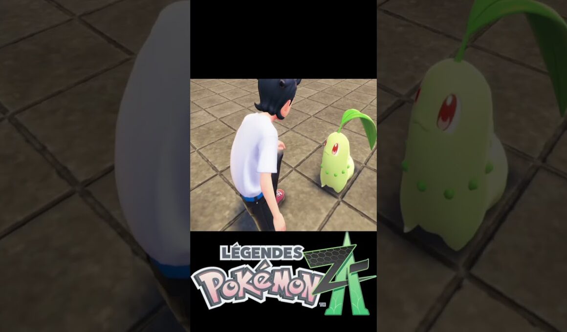 【ポケモンZA】世界一かわいいチコリータによるおでこタッチ