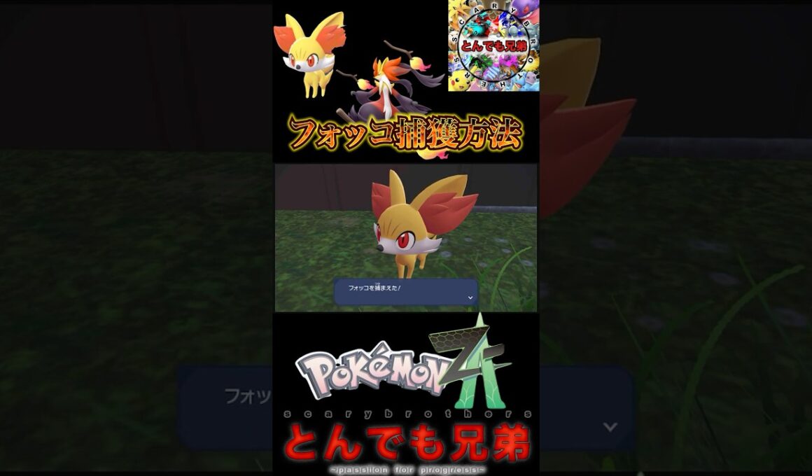 【ポケモンレジェンズZA】カロス地方御三家フォッコの捕獲方法！！　大人気ポケモン？！