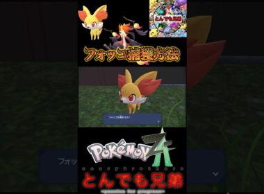 【ポケモンレジェンズZA】カロス地方御三家フォッコの捕獲方法！！　大人気ポケモン？！