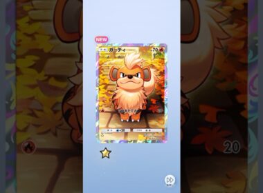 ポケポケ メガライジング メガバシャーモ 配布 ガーディ出たよ #pokemon #ポケポケ #ポケモン