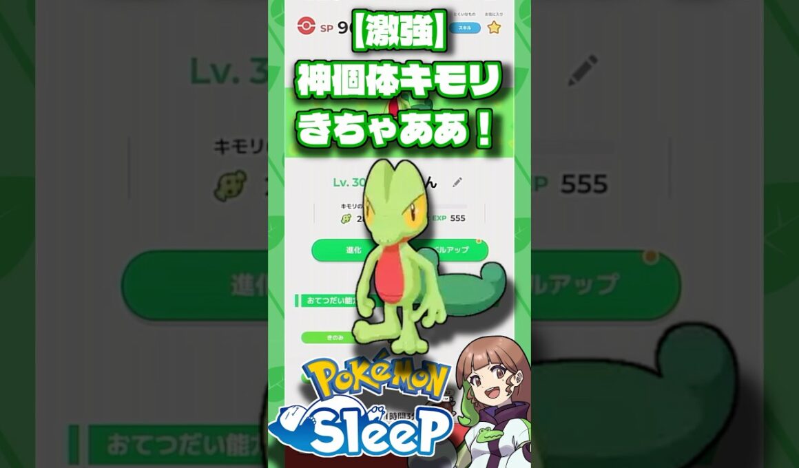 【ポケモンスリープ】つよつよ神個体のキモリゲットした！！！ #ポケモンスリープ #ポケモンスリープ攻略 #ポケスリ #shorts