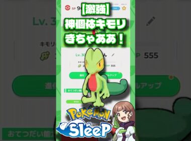 【ポケモンスリープ】つよつよ神個体のキモリゲットした！！！ #ポケモンスリープ #ポケモンスリープ攻略 #ポケスリ #shorts
