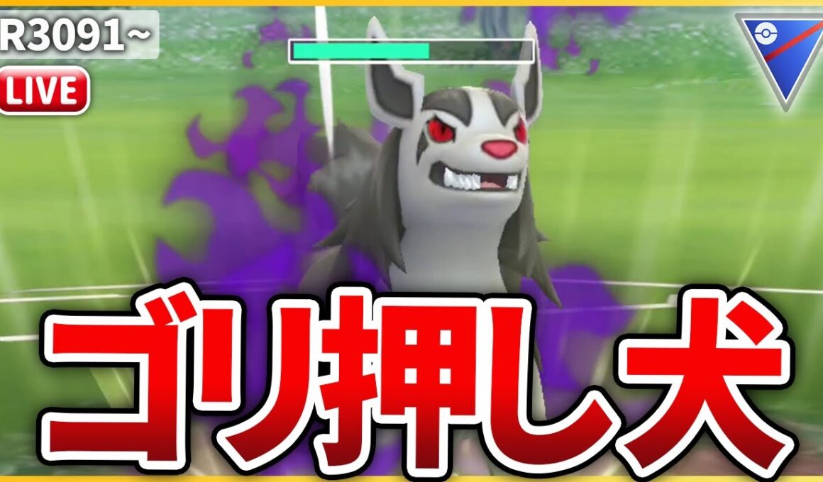 【ジャングルカップ】圧倒的火力でゴリ押せる「Sグラエナ」使ってみる！