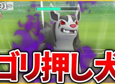 【ジャングルカップ】圧倒的火力でゴリ押せる「Sグラエナ」使ってみる！